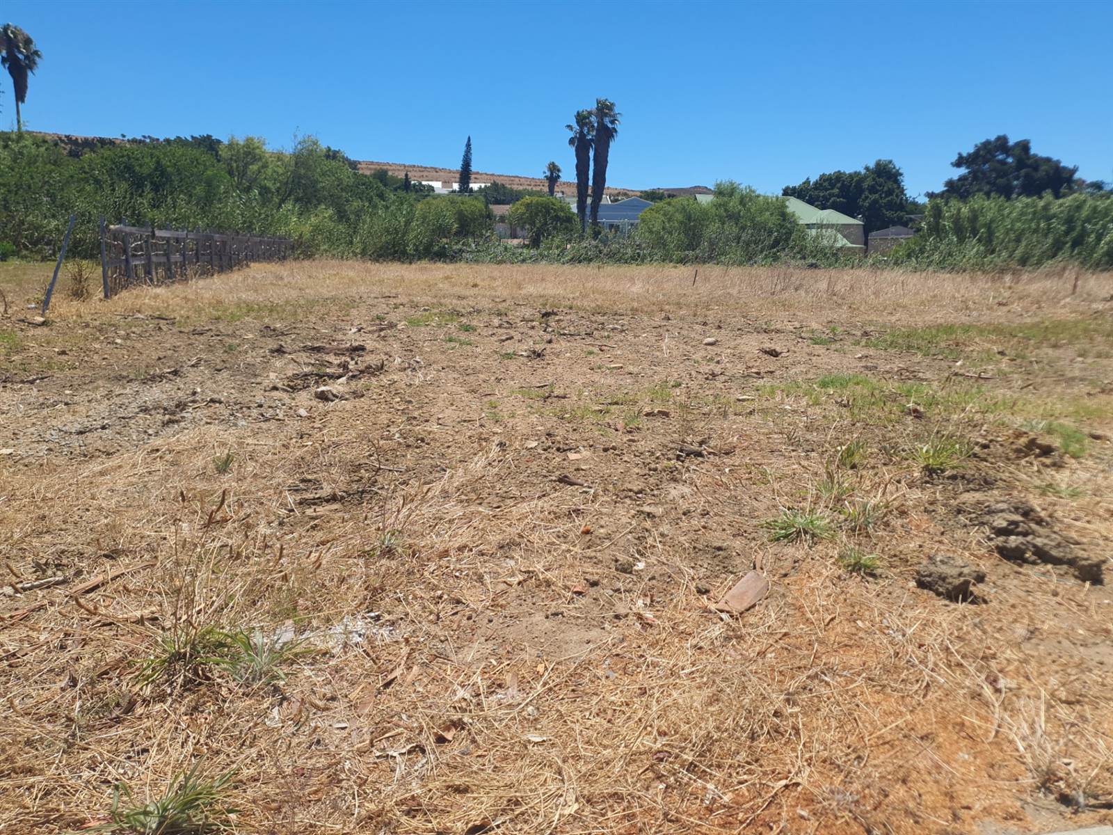 1024 m² Land available in Darling photo number 6