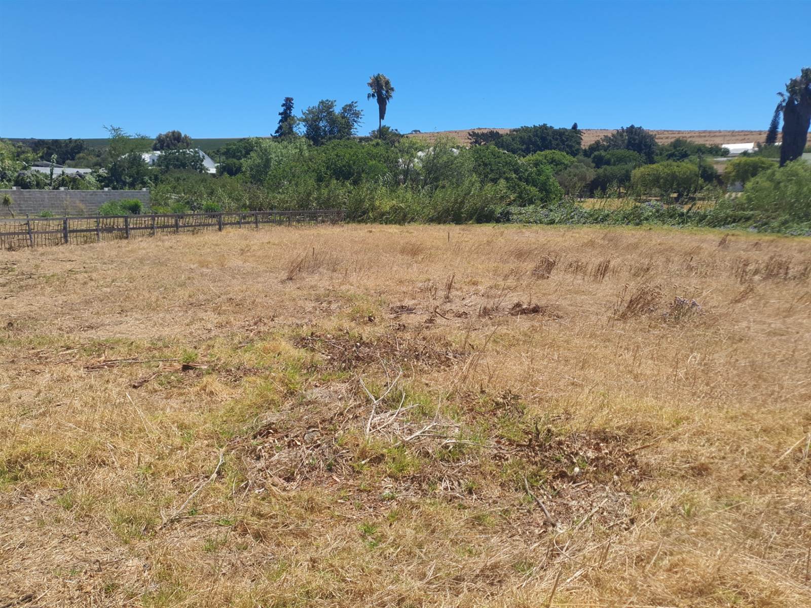 1024 m² Land available in Darling photo number 3