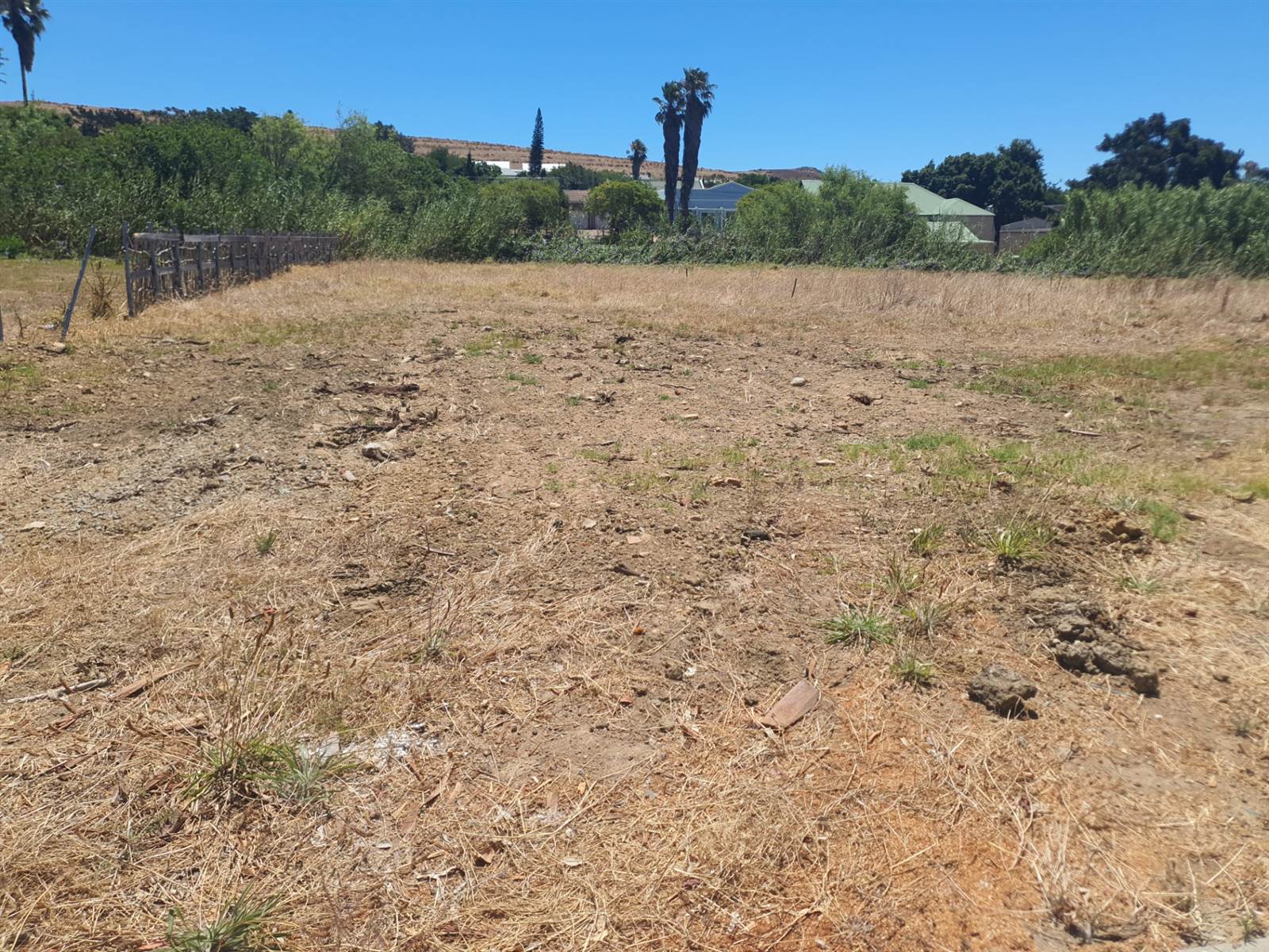 1024 m² Land available in Darling photo number 5