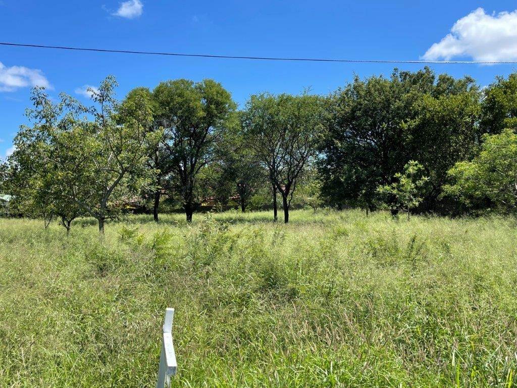3232 m² Land available in Hoedspruit photo number 8