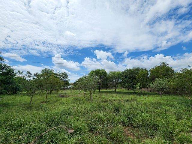 3232 m² Land available in Hoedspruit photo number 5