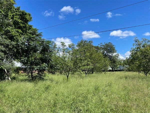 3232 m² Land available in Hoedspruit