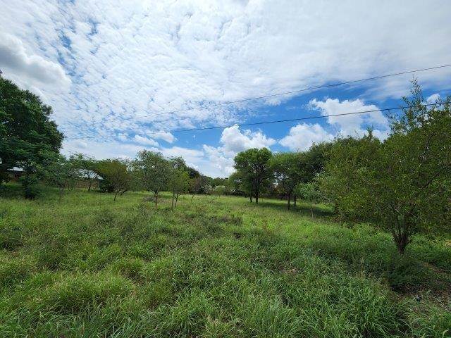 3232 m² Land available in Hoedspruit photo number 4