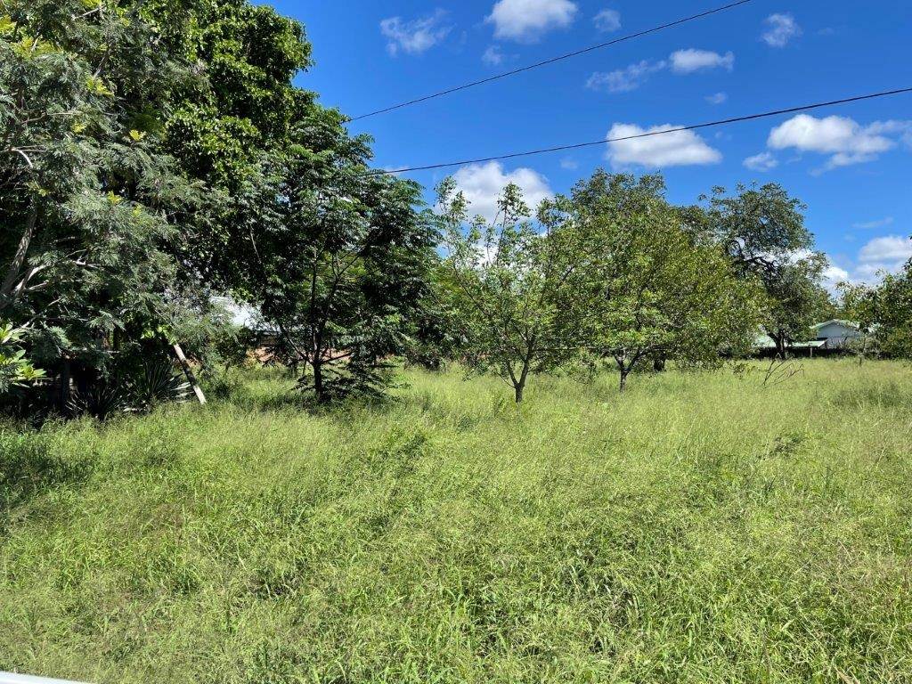 3232 m² Land available in Hoedspruit photo number 10