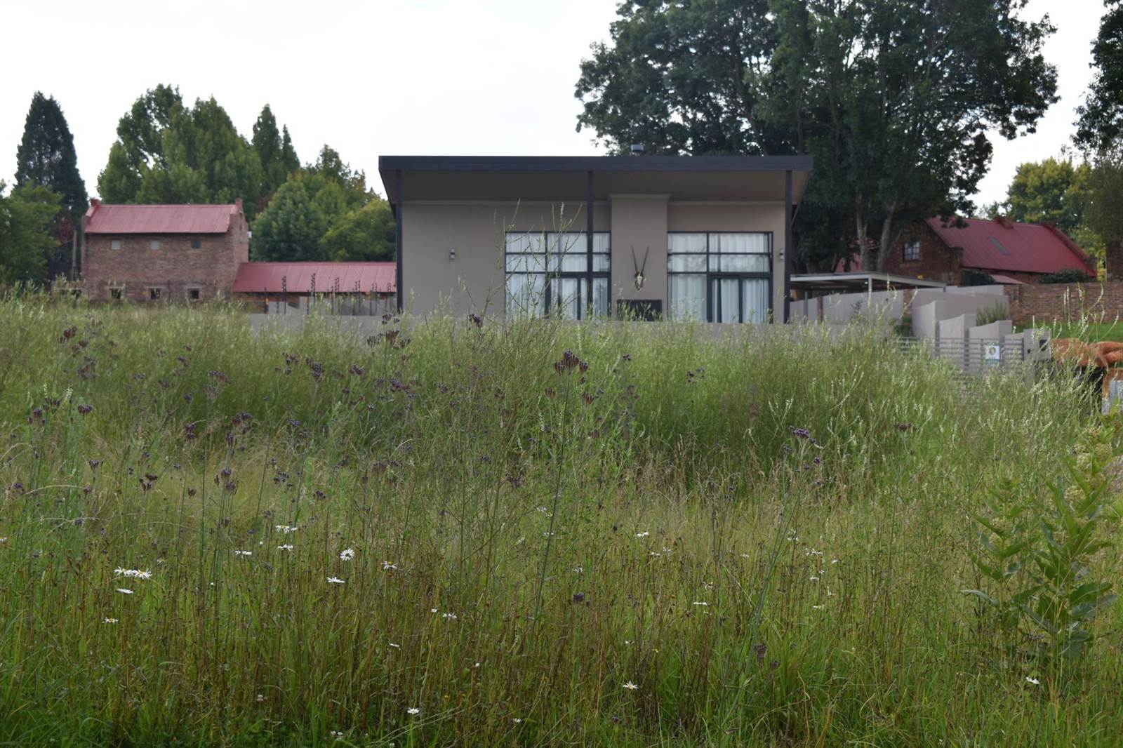 617 m² Land available in Dullstroom photo number 3