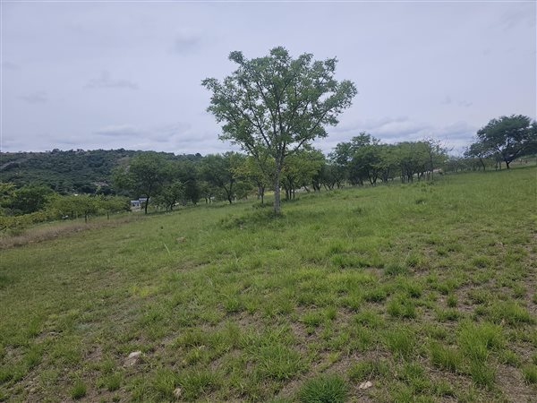 828 m² Land