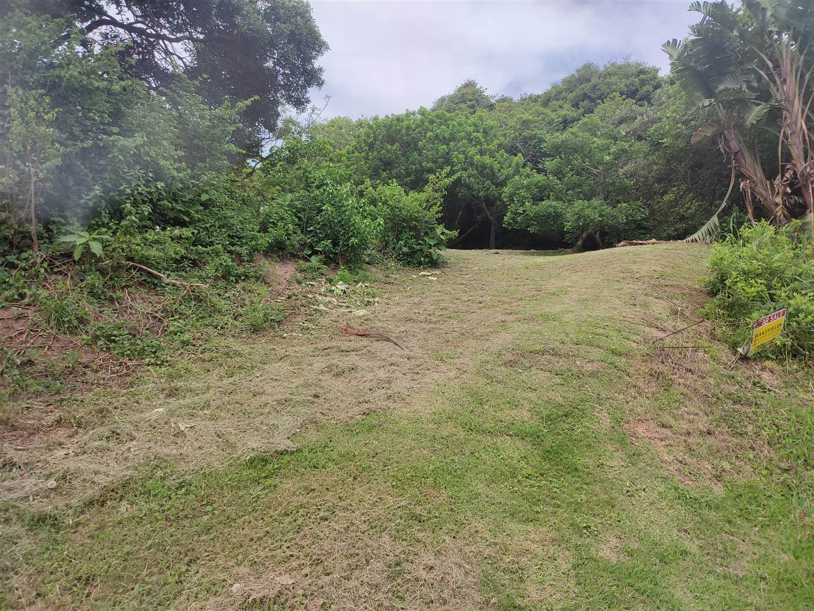 3760 m² Land available in Bazley Beach photo number 7