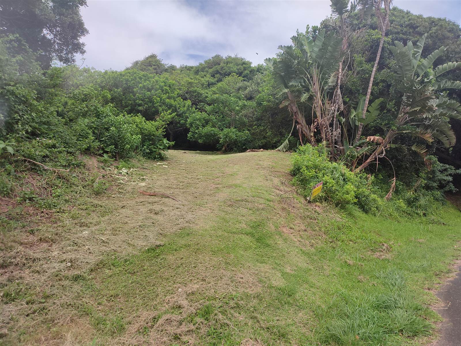 3760 m² Land available in Bazley Beach photo number 6