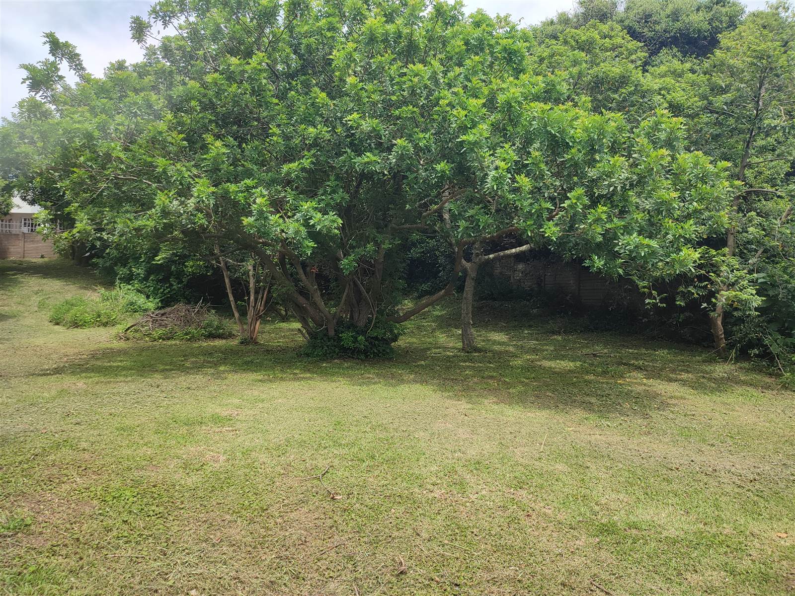 3760 m² Land available in Bazley Beach photo number 4