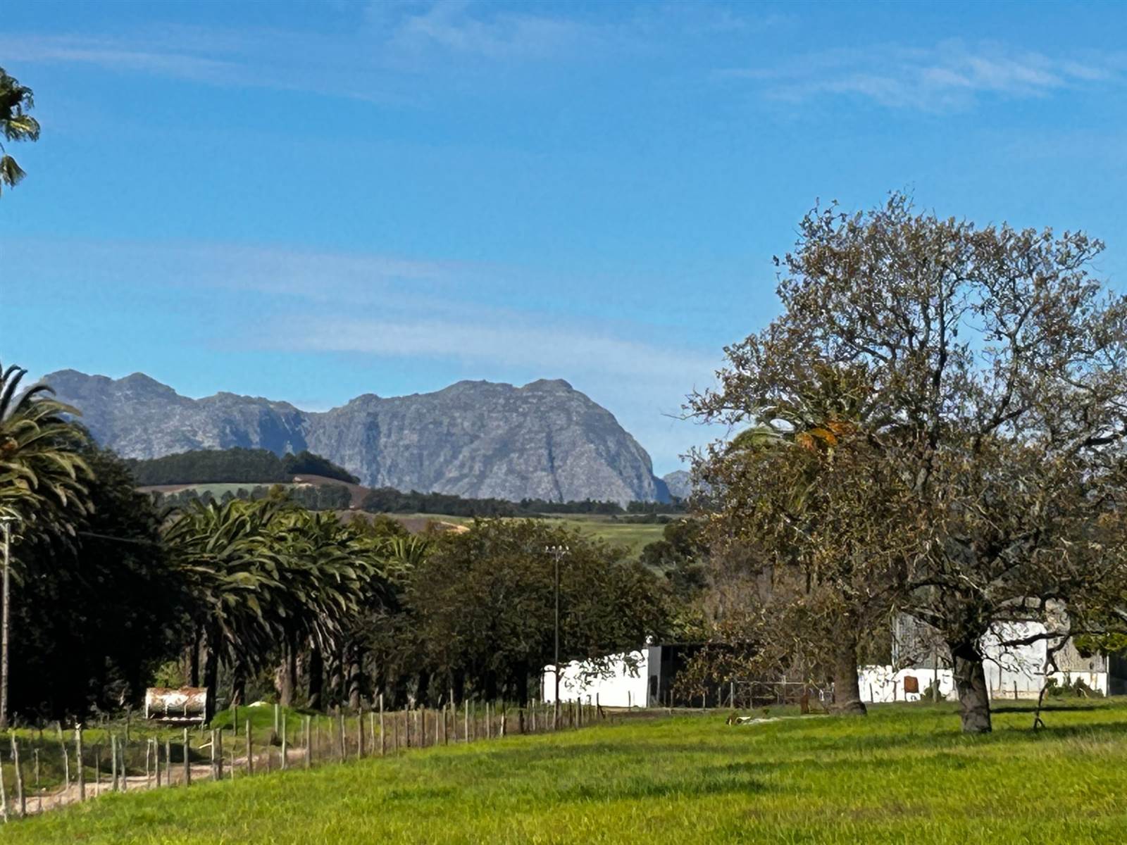 12 ha Farm in Stellenbosch Agricultural photo number 3