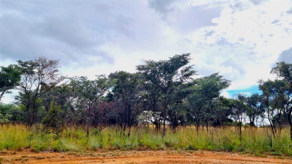 1080 m² Land available in Euphoria Golf Estate photo number 2