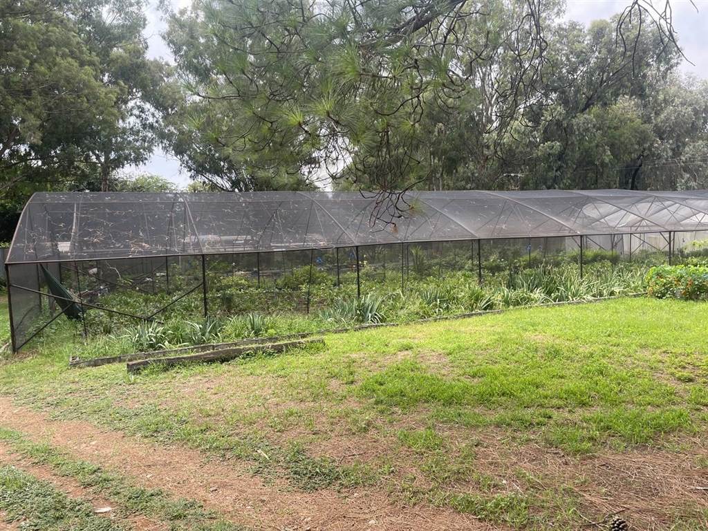 2.1 ha Farm in Valley Settlements AH photo number 9