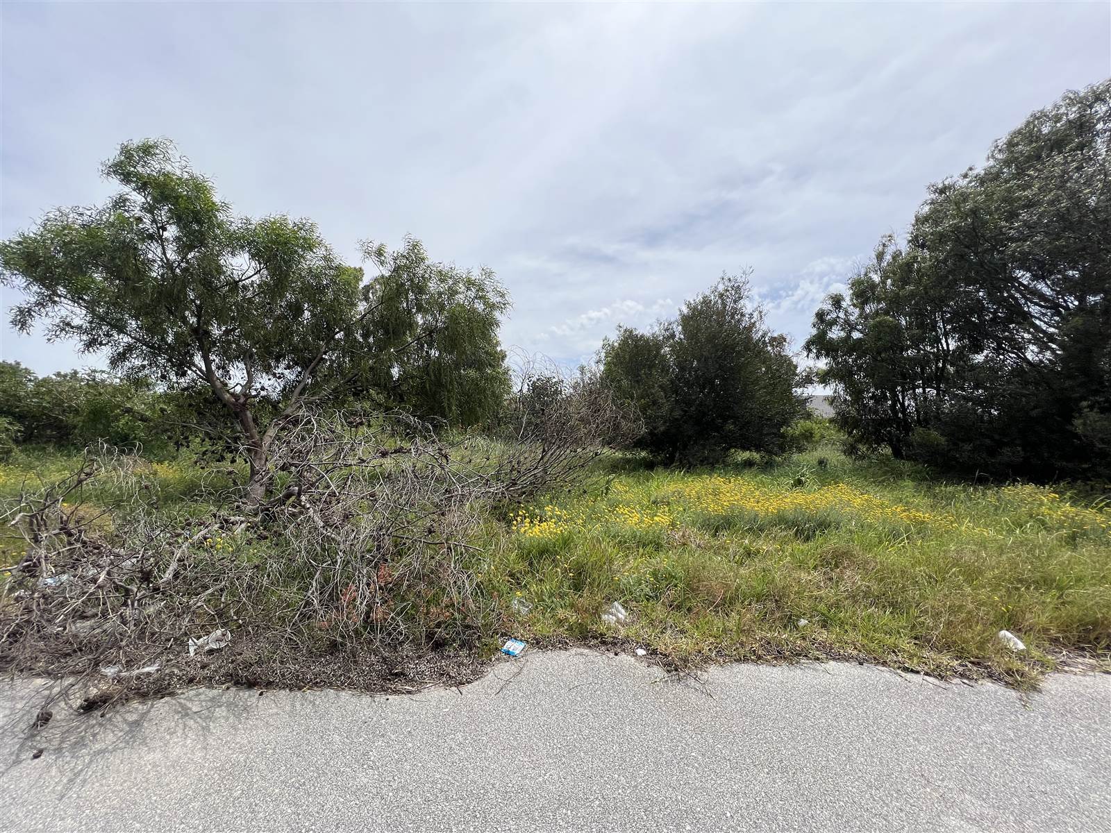 725 m² Land available in Fairview photo number 3
