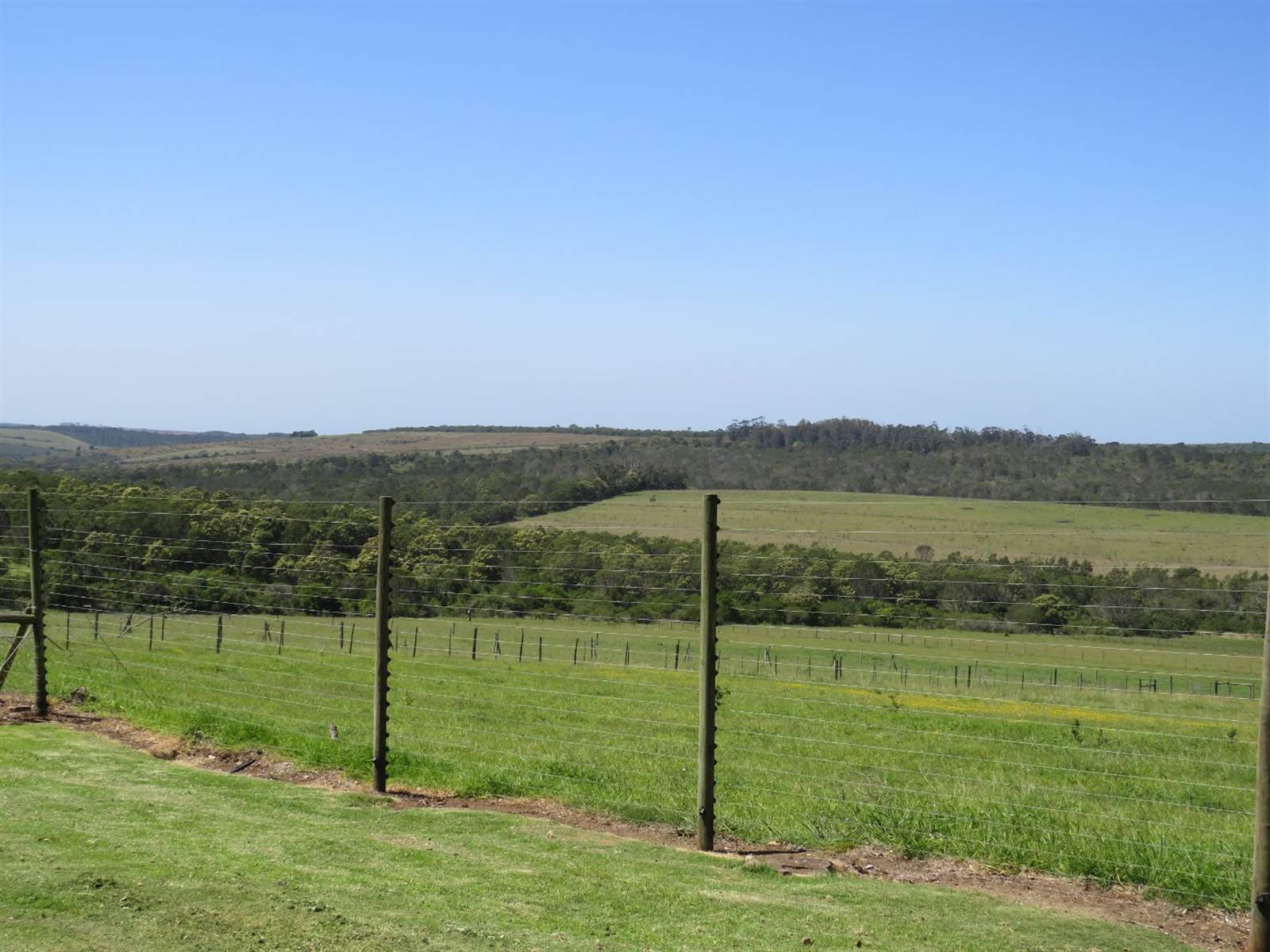 48 ha Farm in Bathurst and Surrounds photo number 3