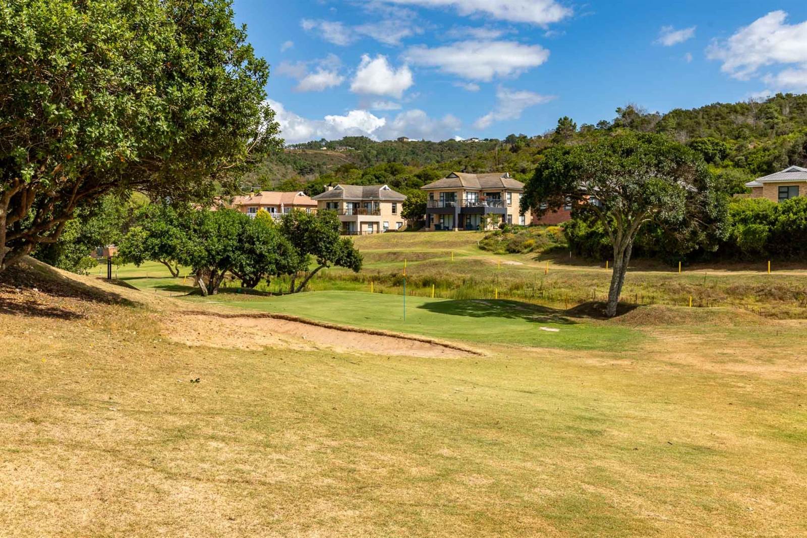 743 m² Land available in Dolphin Creek Golf Estate photo number 15