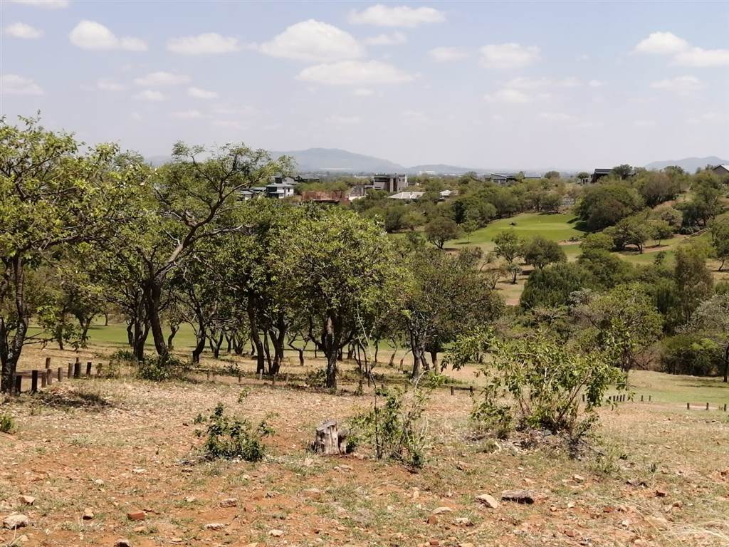 941 m² Land available in Seasons Lifestyle Estate photo number 2