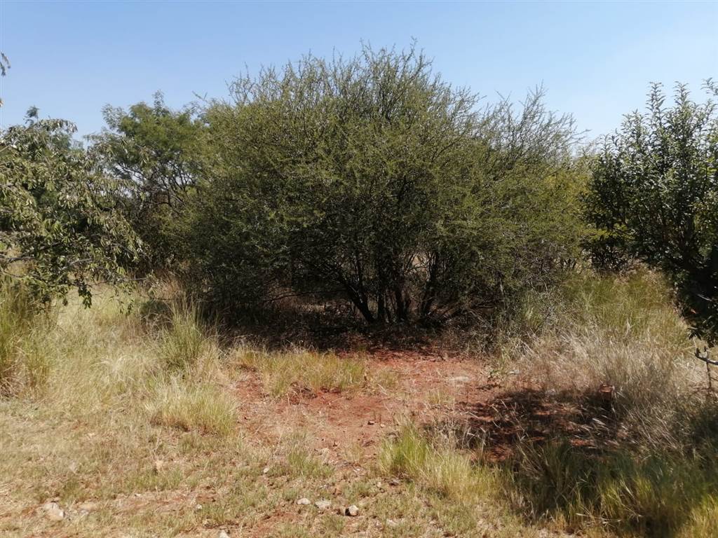941 m² Land available in Seasons Lifestyle Estate photo number 8