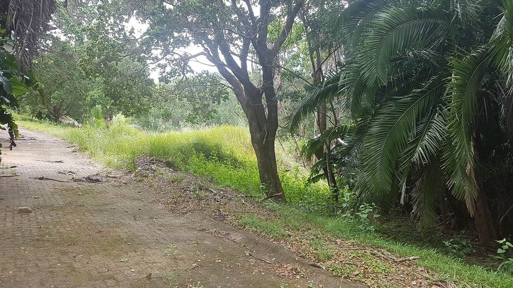 884 m² Land available in Woodgrange photo number 5