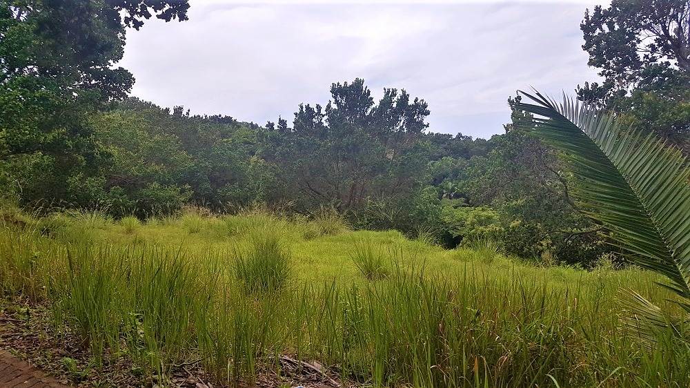 884 m² Land available in Woodgrange photo number 8