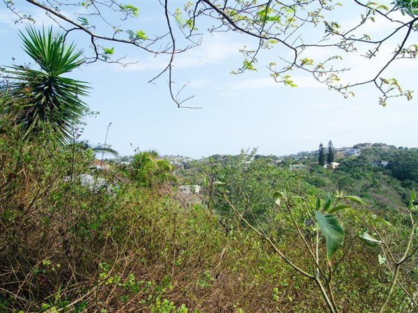 1669 m² Land available in Salt Rock