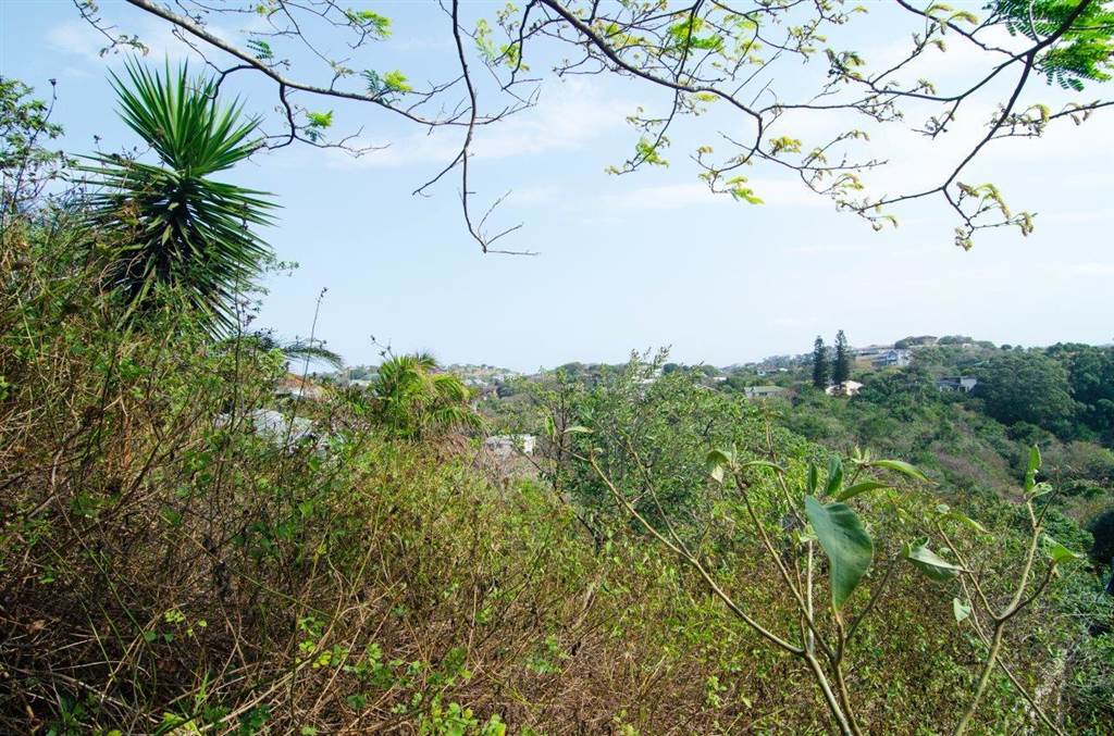 1669 m² Land available in Salt Rock photo number 1