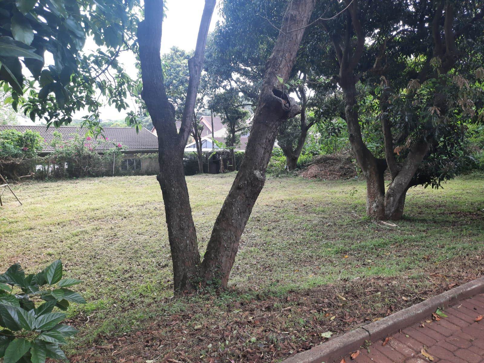 8000 m² Land available in Greenwood Park photo number 1