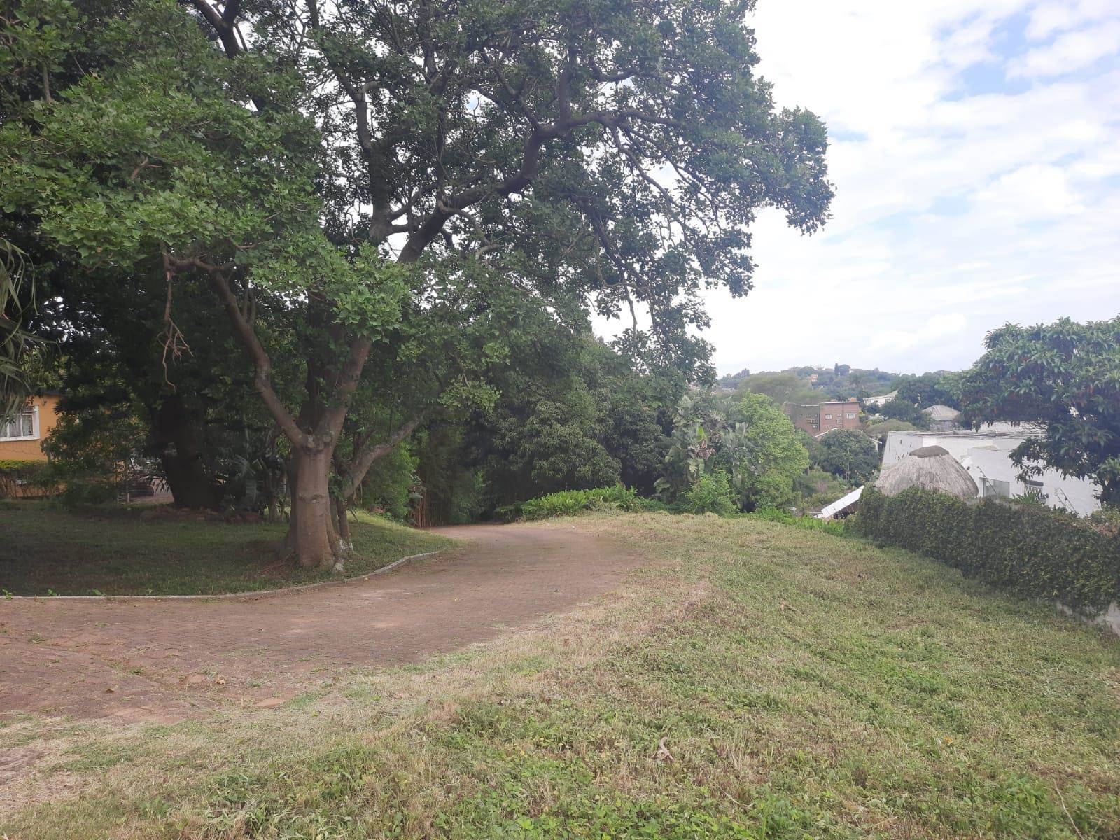 8000 m² Land available in Greenwood Park photo number 8