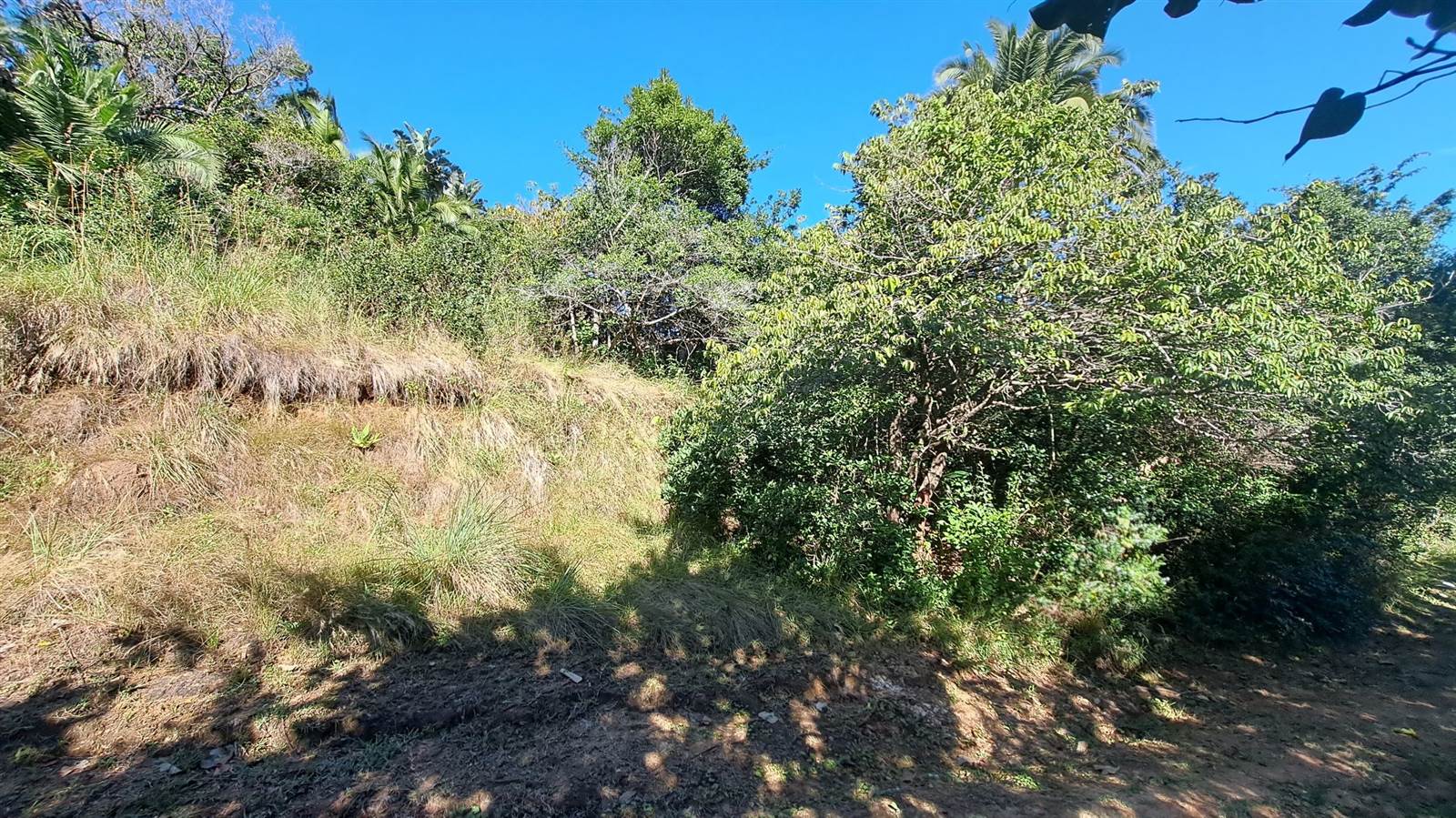 1173 m² Land available in Hibberdene photo number 9