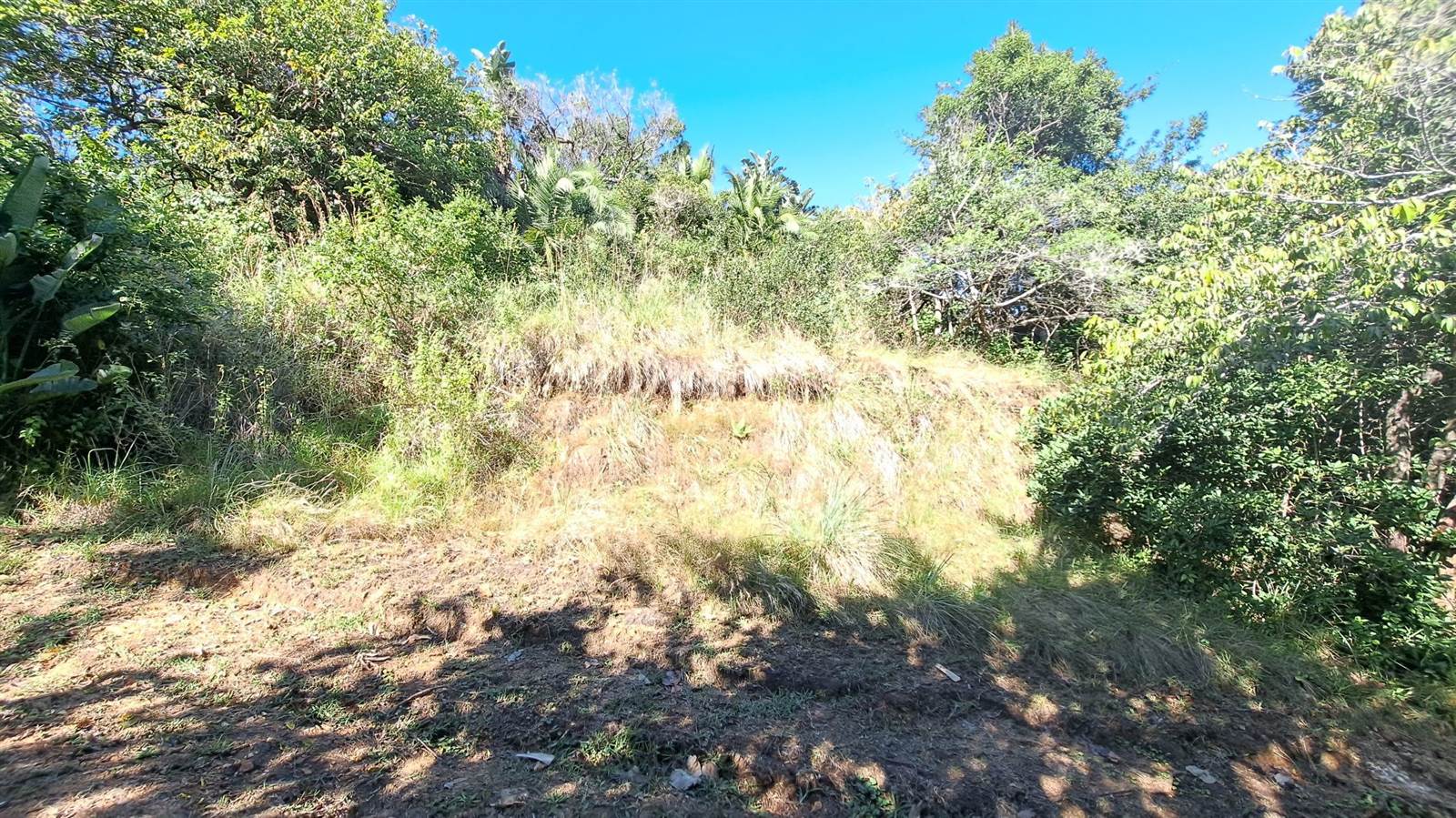 1173 m² Land available in Hibberdene photo number 5