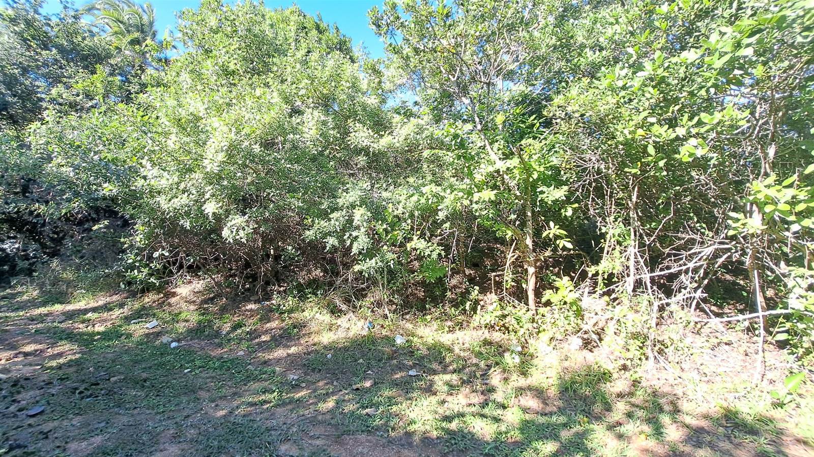 1173 m² Land available in Hibberdene photo number 8