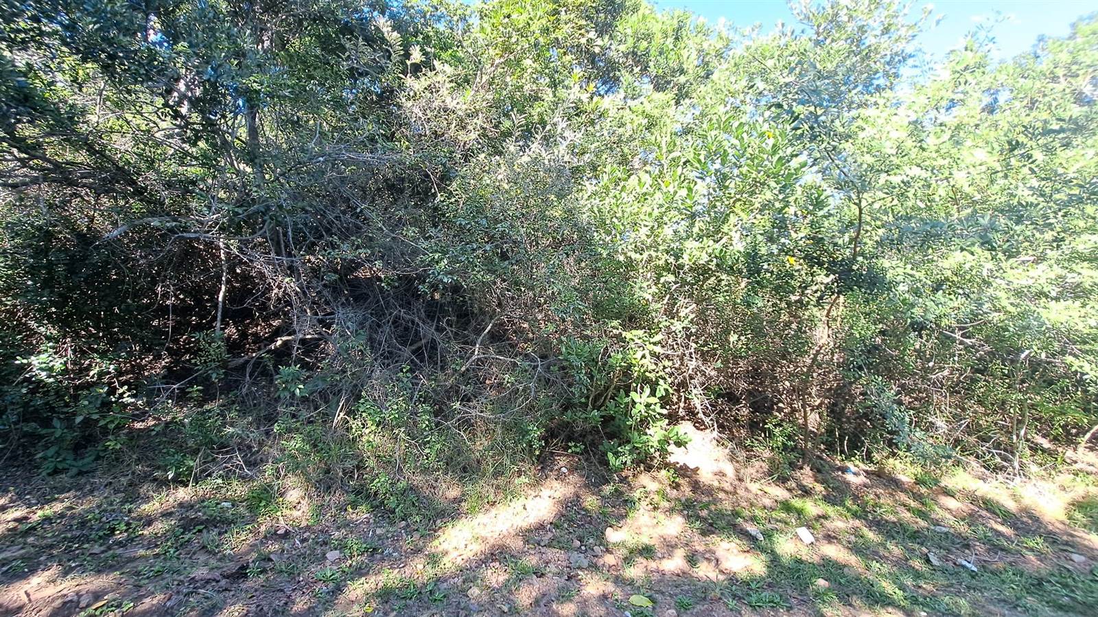 1173 m² Land available in Hibberdene photo number 2