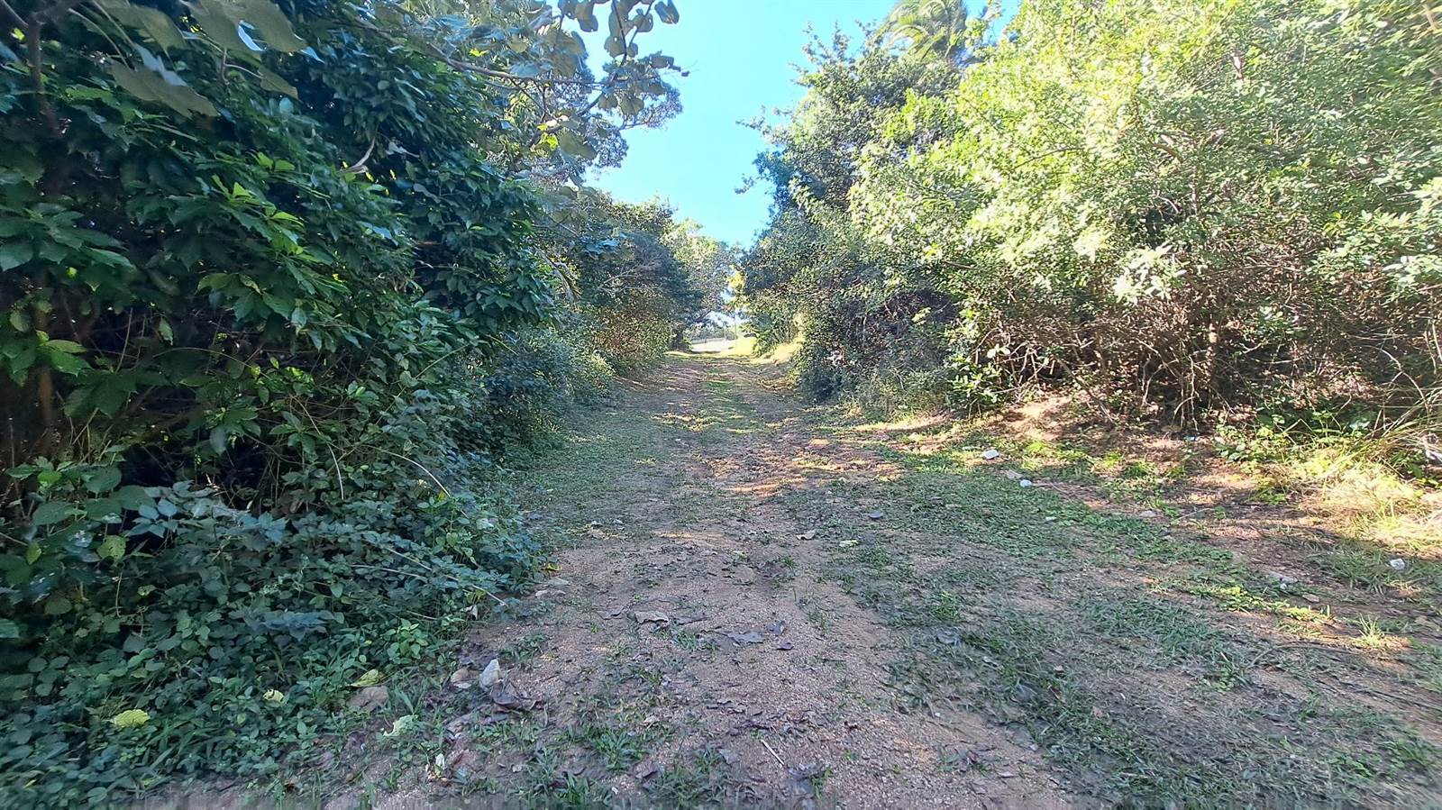 1173 m² Land available in Hibberdene photo number 7