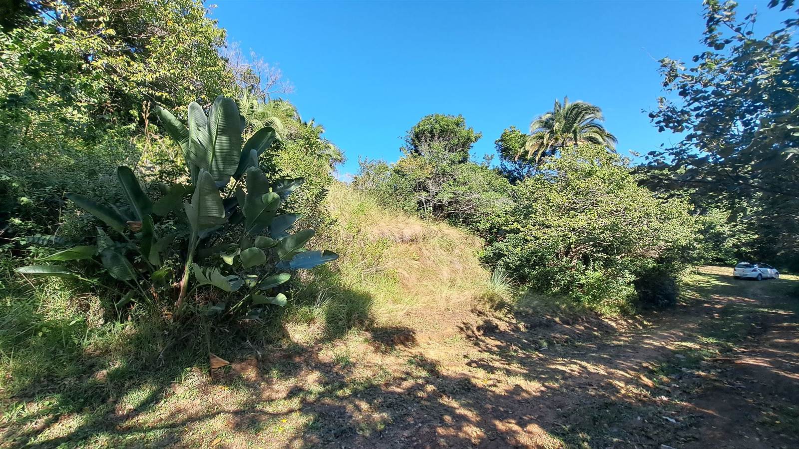 1173 m² Land available in Hibberdene photo number 6