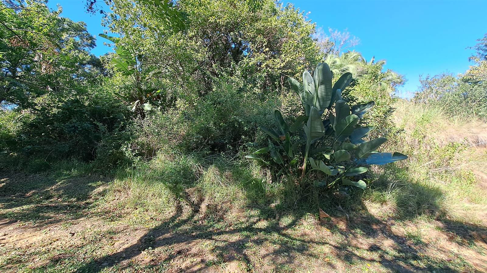 1173 m² Land available in Hibberdene photo number 3