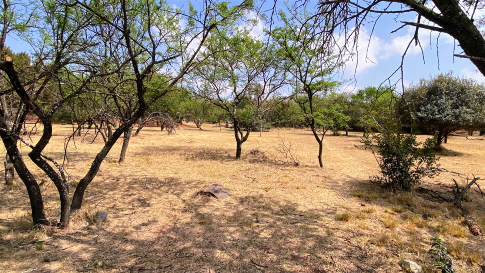 980 m² Land available in Buffelspoort photo number 1