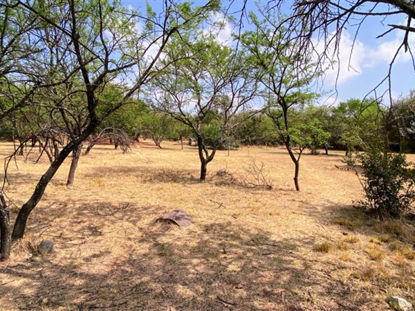 980 m² Land available in Buffelspoort