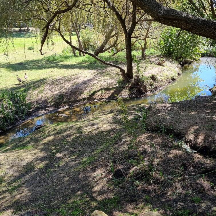 669 m² Land available in Greenstone Hill photo number 15