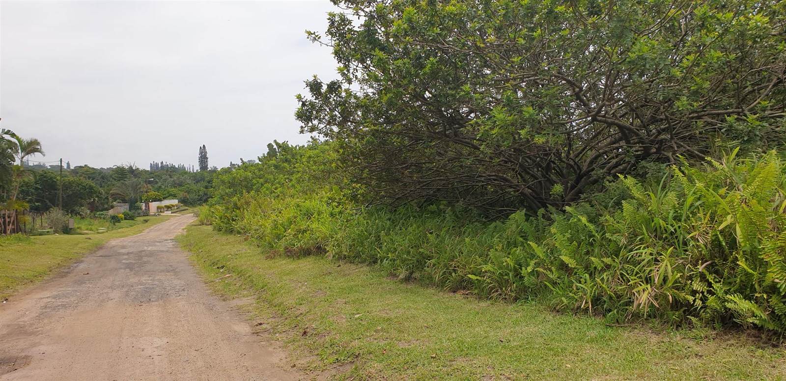 1037 m² Land available in Port Edward photo number 6