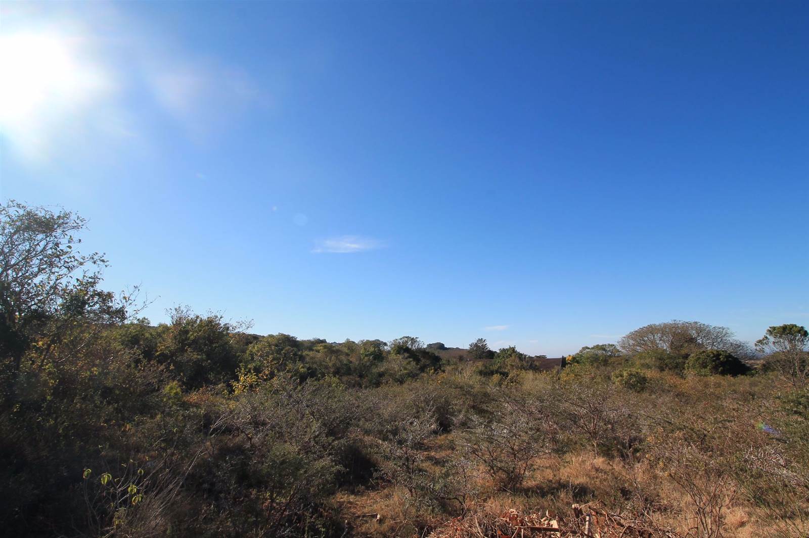2425 m² Land available in Bathurst and Surrounds photo number 6