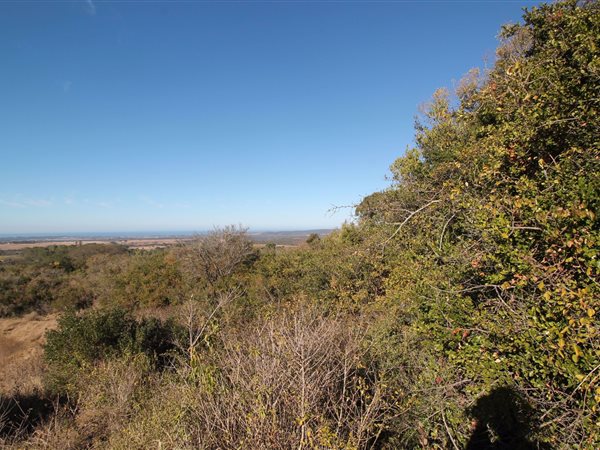 2425 m² Land available in Bathurst and Surrounds