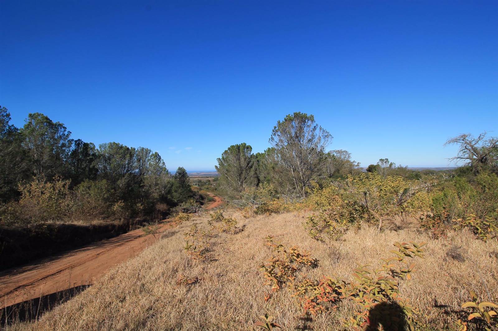 2425 m² Land available in Bathurst and Surrounds photo number 9