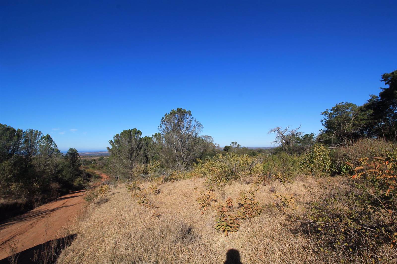 2425 m² Land available in Bathurst and Surrounds photo number 2