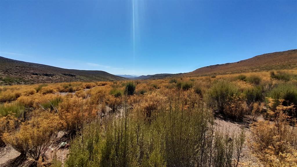 2500 ha Land available in Montagu photo number 28