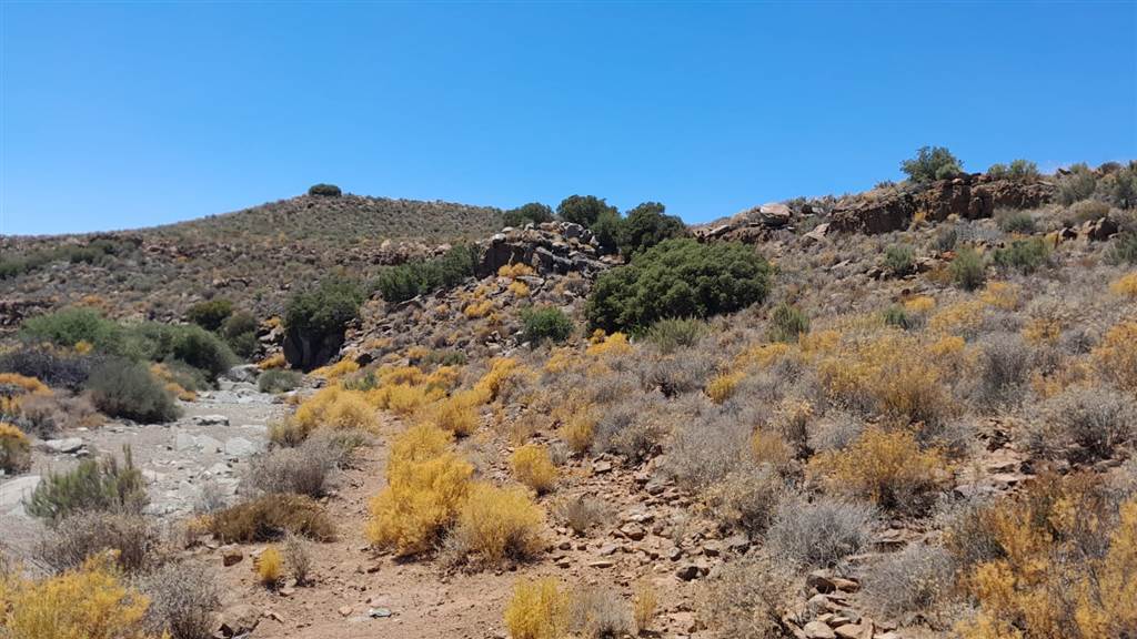 2500 ha Land available in Montagu photo number 22