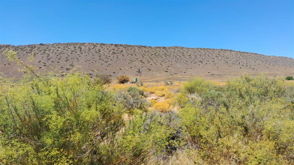 2500 ha Land available in Montagu photo number 15