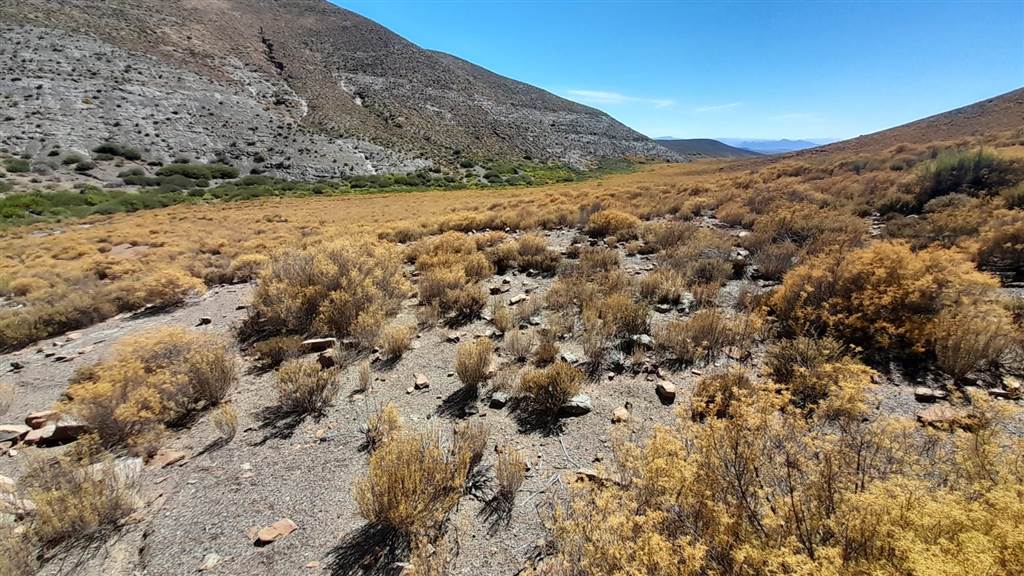 2500 ha Land available in Montagu photo number 6