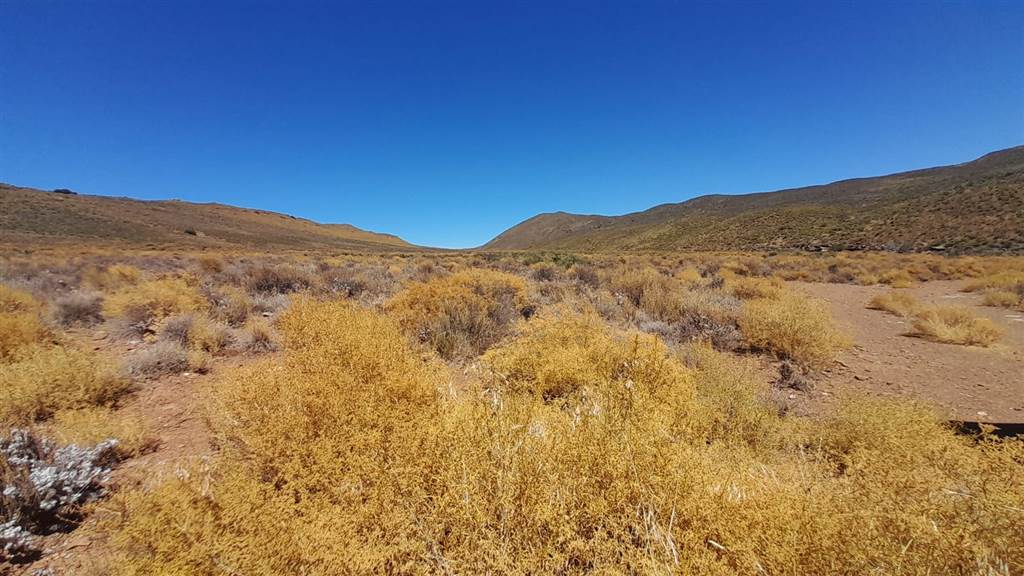 2500 ha Land available in Montagu photo number 19