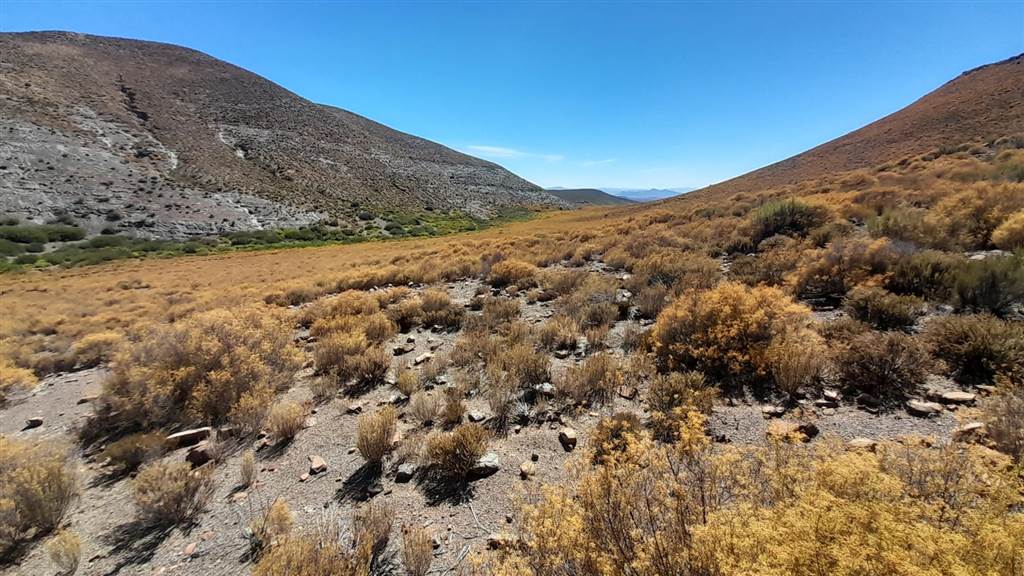 2500 ha Land available in Montagu photo number 12