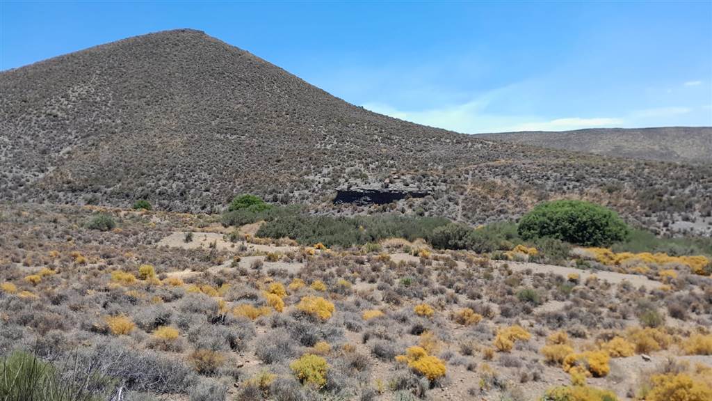 2500 ha Land available in Montagu photo number 25
