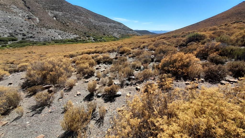 2500 ha Land available in Montagu photo number 5